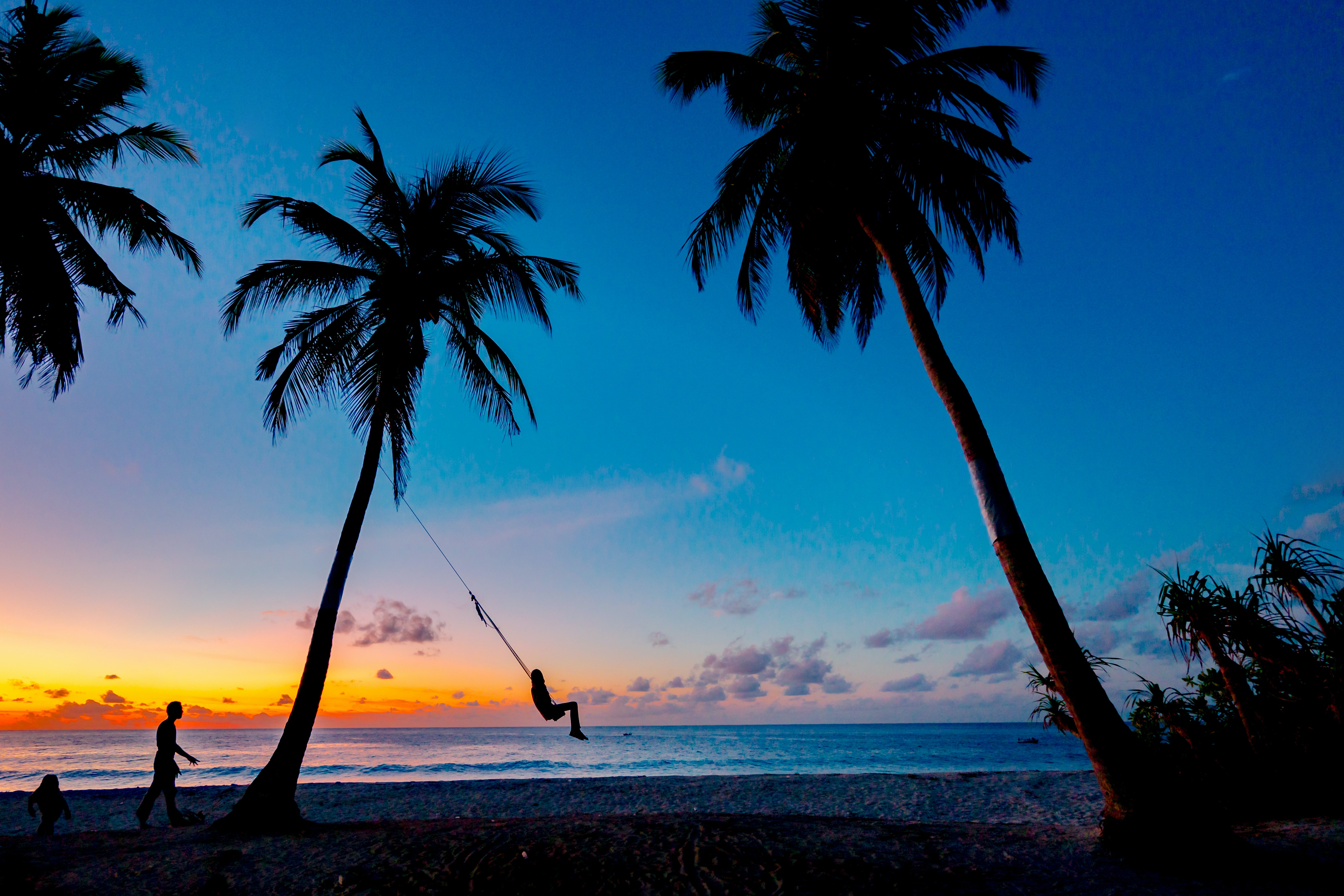 people on a swing at the beach